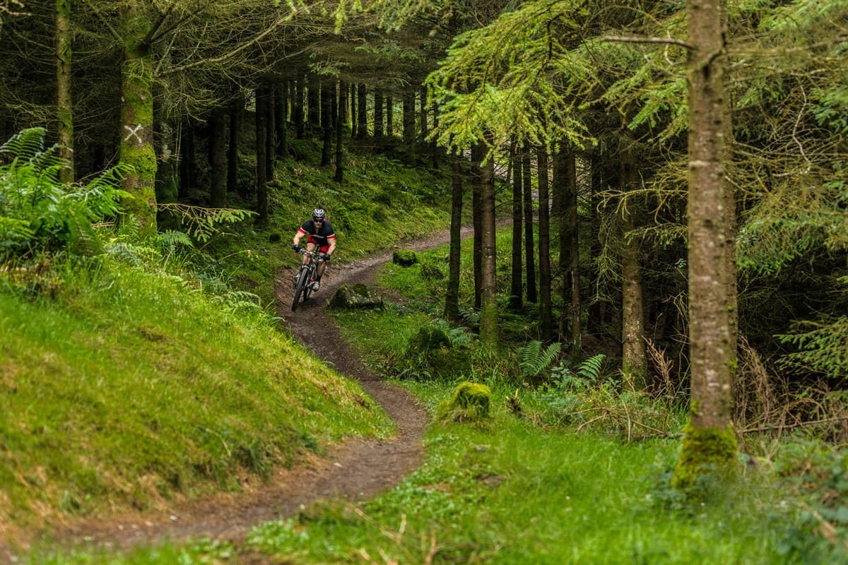 mountain biking in the Ballyhoura mountains