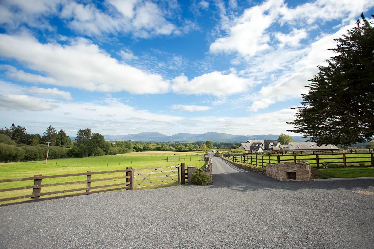 A picture of the driveway leading up to Johns Dairy Cottage in Boolakennedy