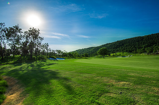 golf course in Tipperary Ireland